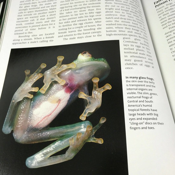 Frogs: A Chorus of Colors; Beautiful Photos & Illustrations; Excellent! 160 pgs - Picture 5 of 9
